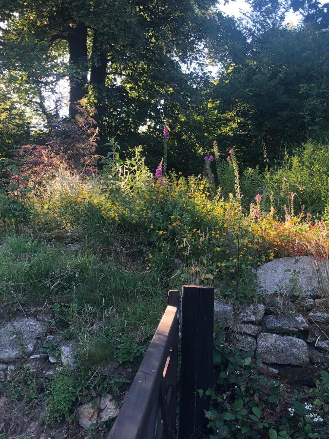 Corndonford Farm Bed & Breakfast Newton Abbot Bagian luar foto