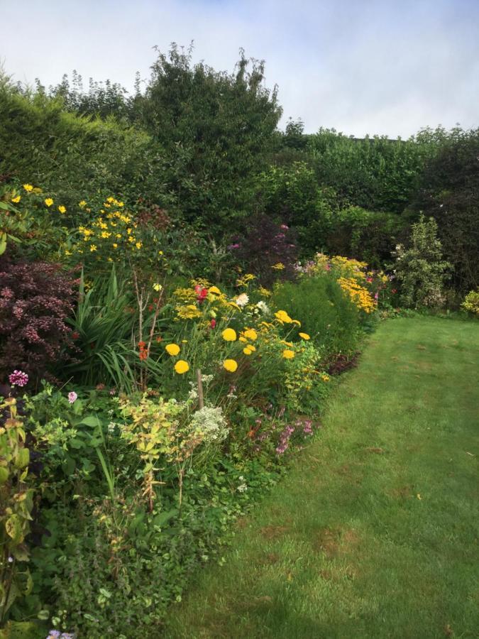Corndonford Farm Bed & Breakfast Newton Abbot Bagian luar foto