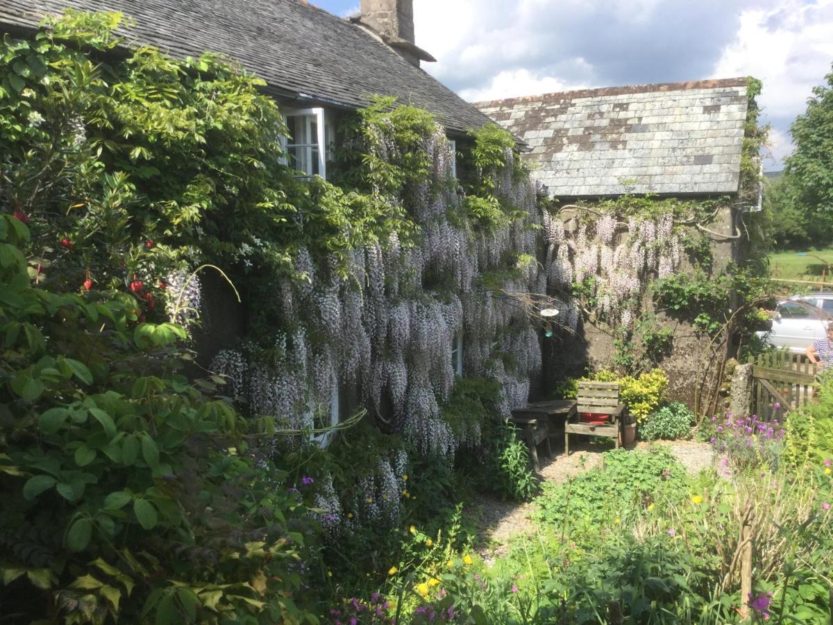 Corndonford Farm Bed & Breakfast Newton Abbot Bagian luar foto